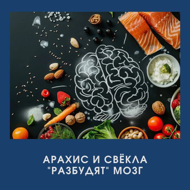 Как восстановить работу мозга весной: полезные продукты для улучшения памяти и концентрации