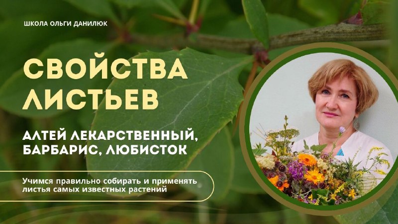 Где и как безопасно собирать целебные растения в природе