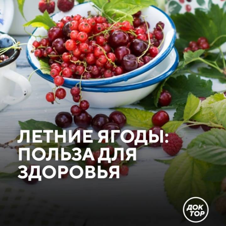 Полезные ягоды лета для здоровья: что стоит употреблять