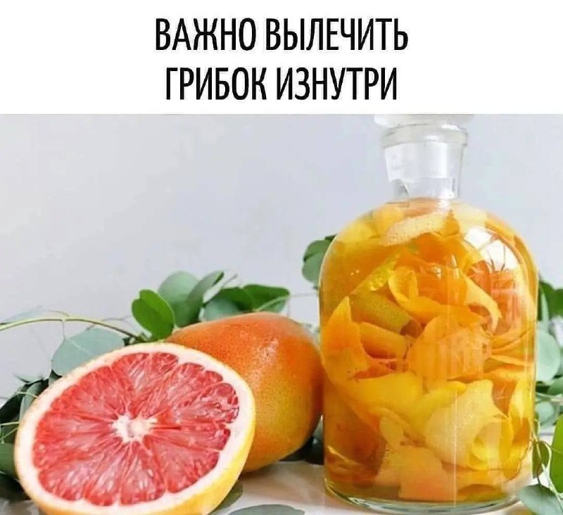 Эффективное лечение грибковых заболеваний изнутри