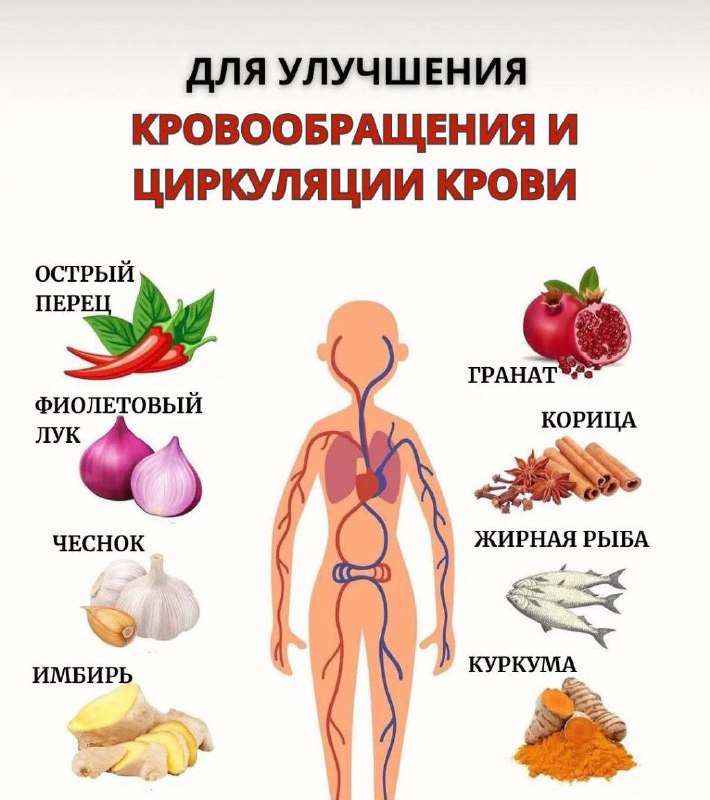 Причины и рекомендации по уходу за сердечной мышцей