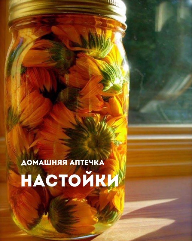 Лучшее время для заготовки домашних травяных настоек