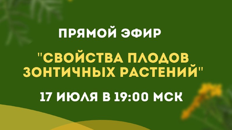 Ароматные семена и их польза: эфир из серии «Личное дело»