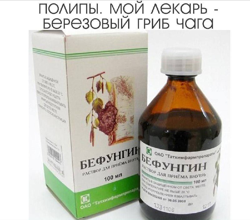 Лечение полипов берёзовым грибом чага: личный опыт и результаты