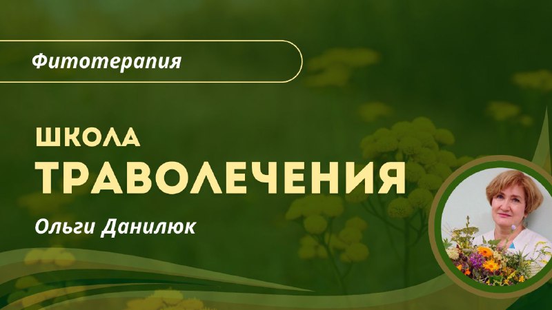 Школа травничества Ольги Данилюк: путь к здоровью через природу