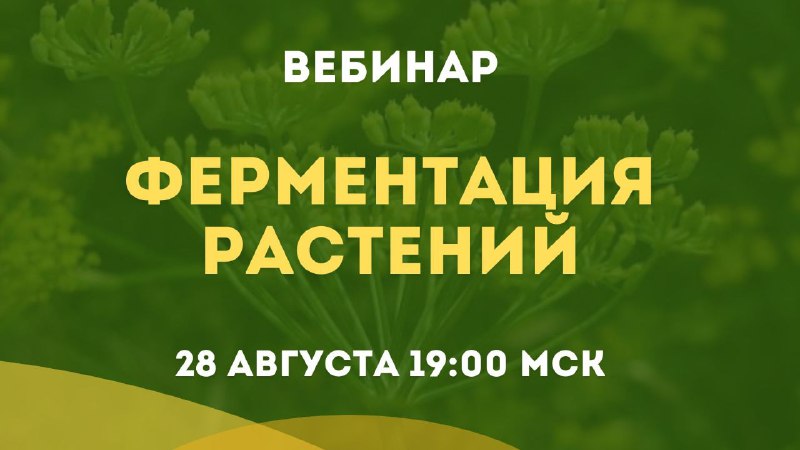 Приглашение на мастер-класс по ферментации растений и чайному искусству