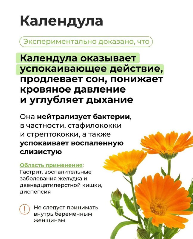Польза и особенности применения аптечных трав Польза и особенности применения аптечных трав