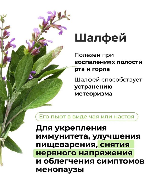 Польза и особенности применения аптечных трав Польза и особенности применения аптечных трав