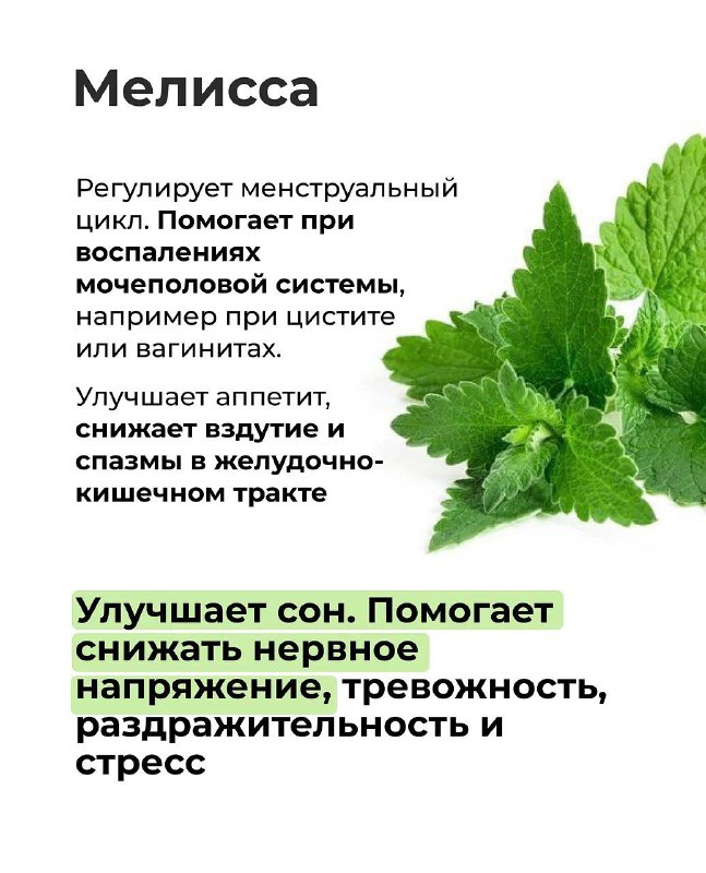 Польза и особенности применения аптечных трав Польза и особенности применения аптечных трав