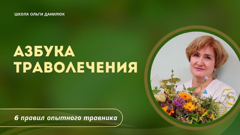 Мои главные ошибки при заготовке трав и уроки, которые я извлекла