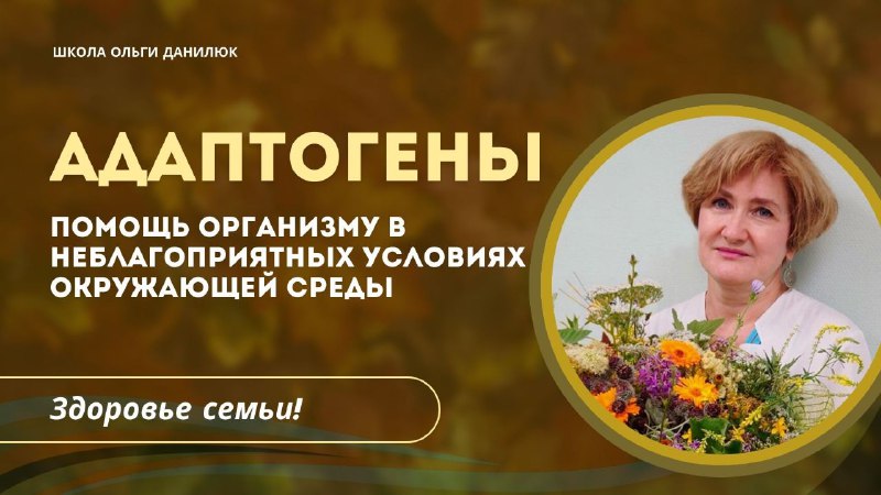 Важность адаптогенов для укрепления иммунитета осенью Важность адаптогенов для укрепления иммунитета осенью