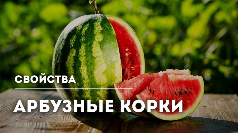Полезные свойства арбузных корок и их использование