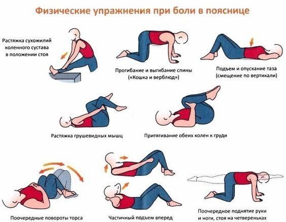 Причины и особенности болей в пояснице