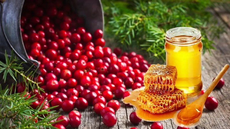 Опыт лечения и советы по поддержанию здоровья от дедушки Порфирия