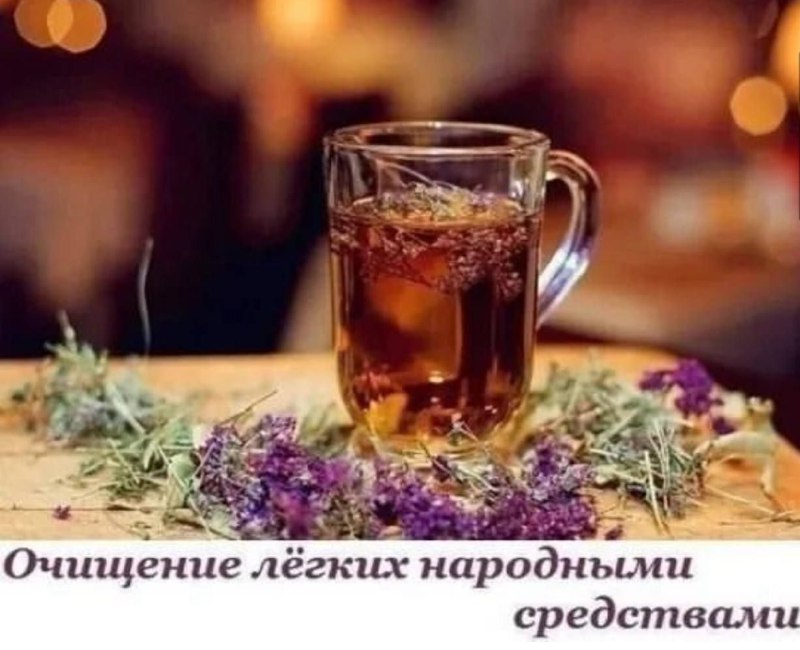 Народные рецепты для очищения легких и улучшения здоровья