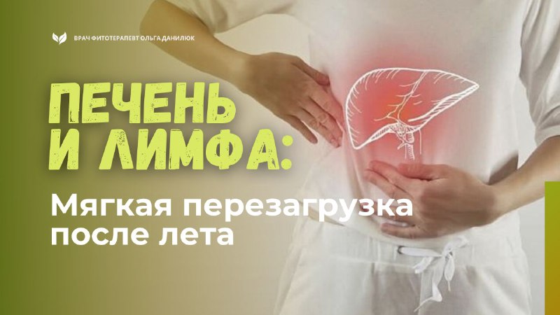 Мягкая перезагрузка печени и лимфатической системы осенью Мягкая перезагрузка печени и лимфатической системы осенью