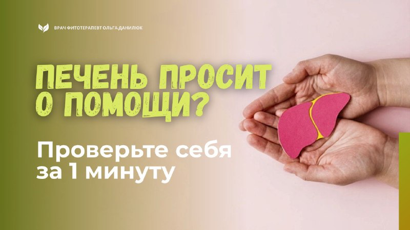 Проверьте состояние вашей печени: быстрый тест здоровья