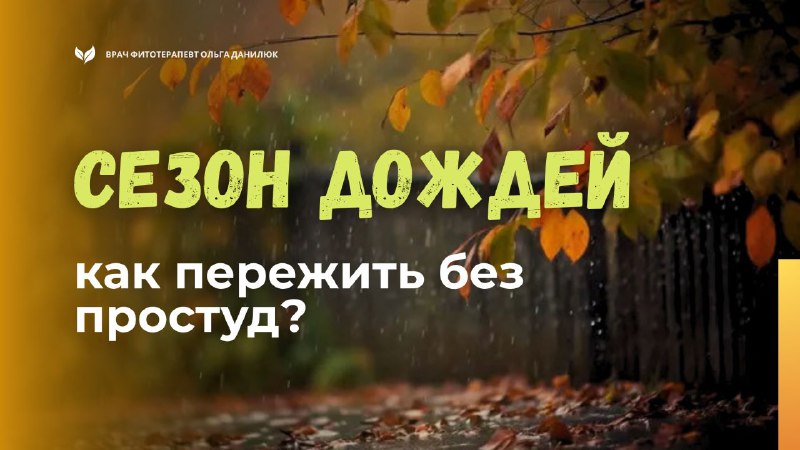 Почему мы чаще болеем в осенне-зимний сезон и советы по укреплению иммунитета