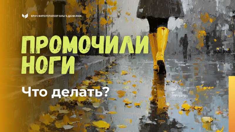 Что делать, если промокли ноги: советы и профилактика