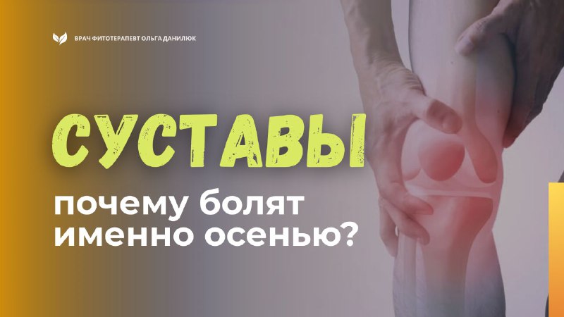 Почему осенью усиливаются боли в суставах и как облегчить состояние