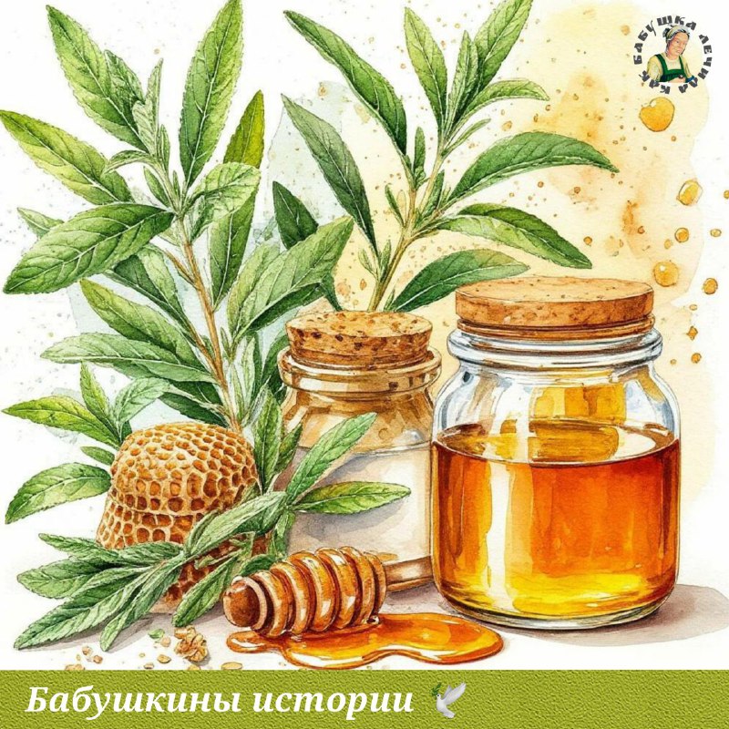 Традиционные методы борьбы с женскими болезнями: советы бабушки