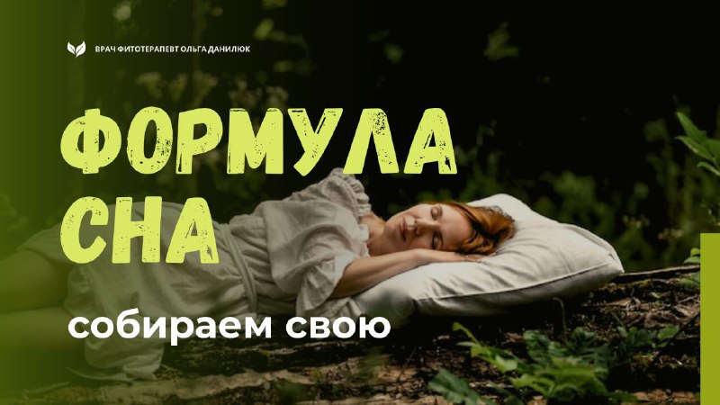 Создайте свою уникальную формулу сна с помощью трав