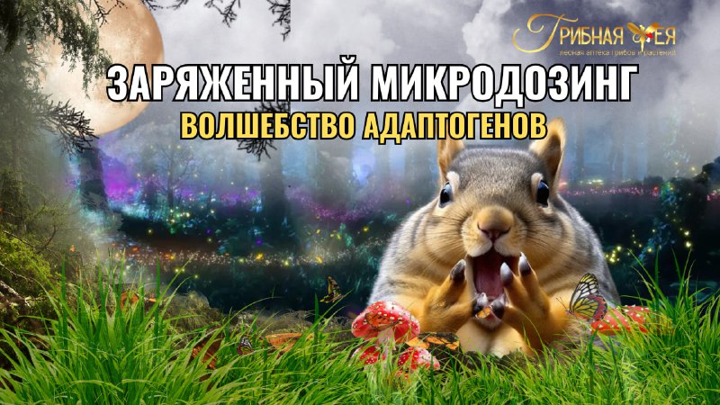 Микродозинг и природные адаптогены: новая перспектива Микродозинг и природные адаптогены: новая перспектива