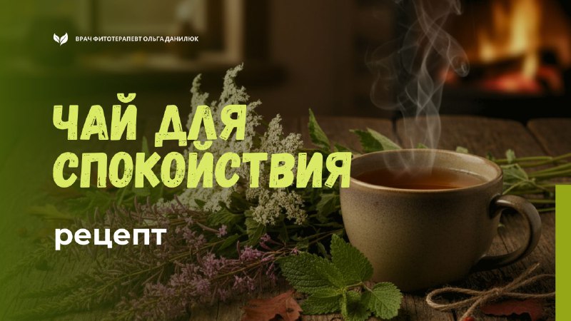 Травяной сбор для спокойного вечера: таволга, кипрей и мелисса