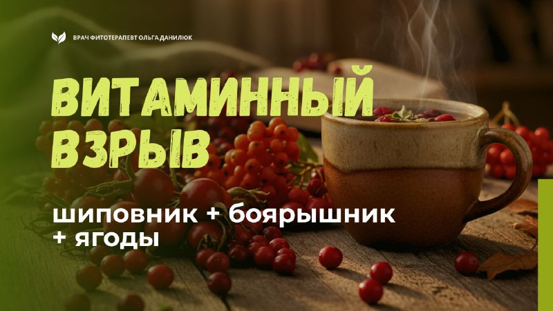 Витаминный напиток из шиповника и ягод: секреты приготовления