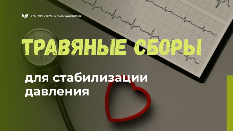 Эффективные травяные сборы для регулировки давления