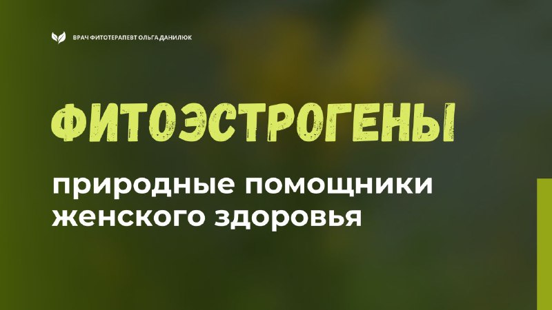 Фитоэстрогены: природные средства для поддержки женского здоровья