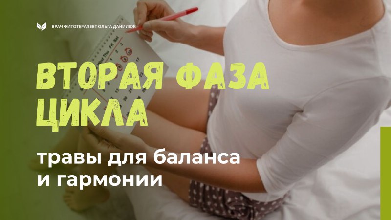 Травы второй фазы цикла: укрепление баланса и гармонии