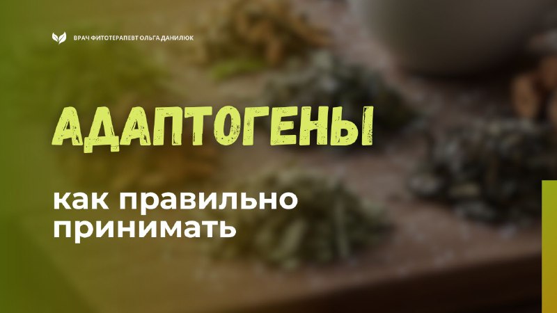 Правильное употребление адаптогенов для максимальной эффективности