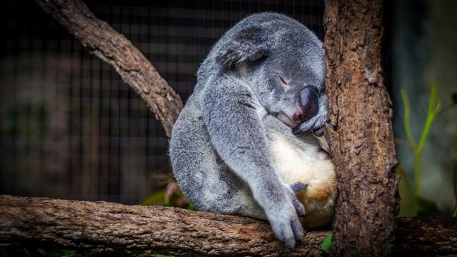 Важность полноценного сна для борьбы с лишним весом