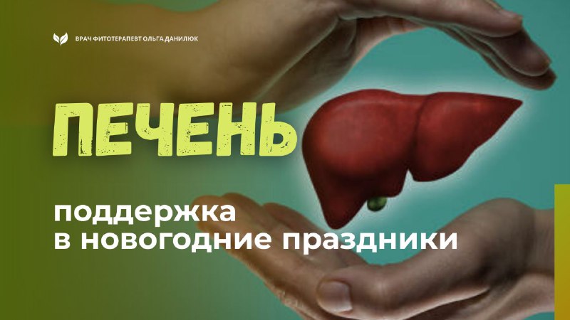 Поддержка печени в новогодние праздники: травяные средства и рекомендации