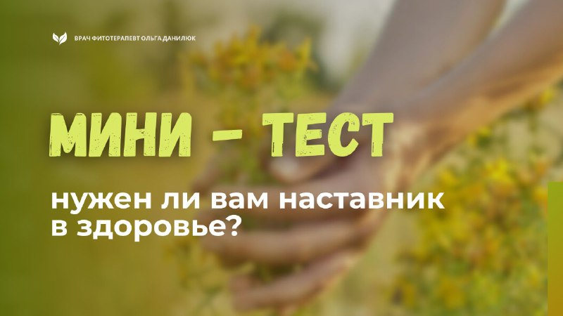 Как правильно использовать травы для оздоровления: советы и система поддержки