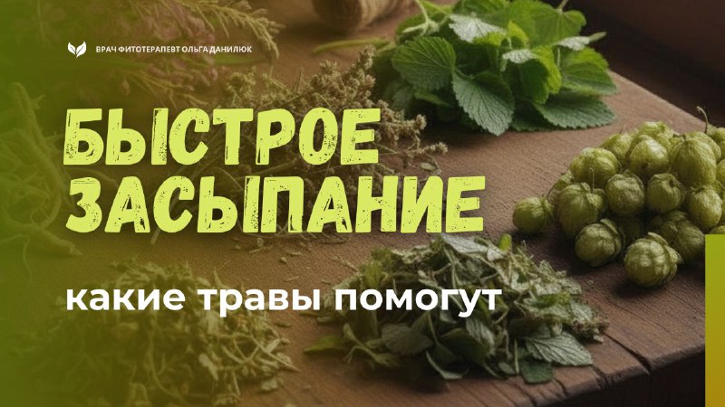 Как быстро уснуть после праздника: проверенные травы для снятия перевозбуждения