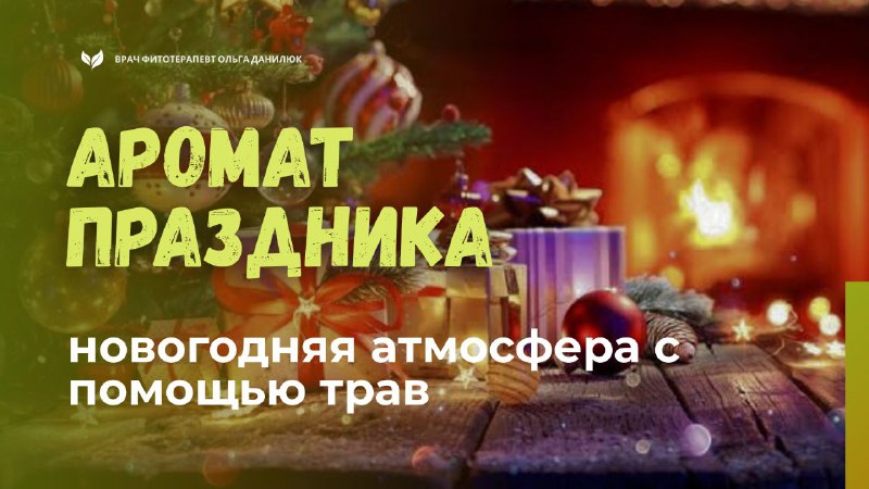 Создание новогодней атмосферы с помощью ароматных трав и специй