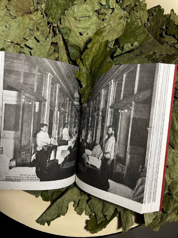 Книга «Три века петербургской бани» уже в продаже Книга «Три века петербургской бани» уже в продаже