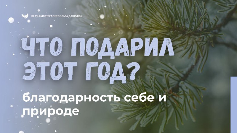 Подведение итогов: благодарность за год и уроки самопознания