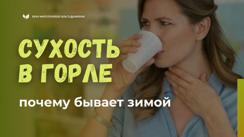Почему при наступлении зимы первым симптомом становится сухость в горле?