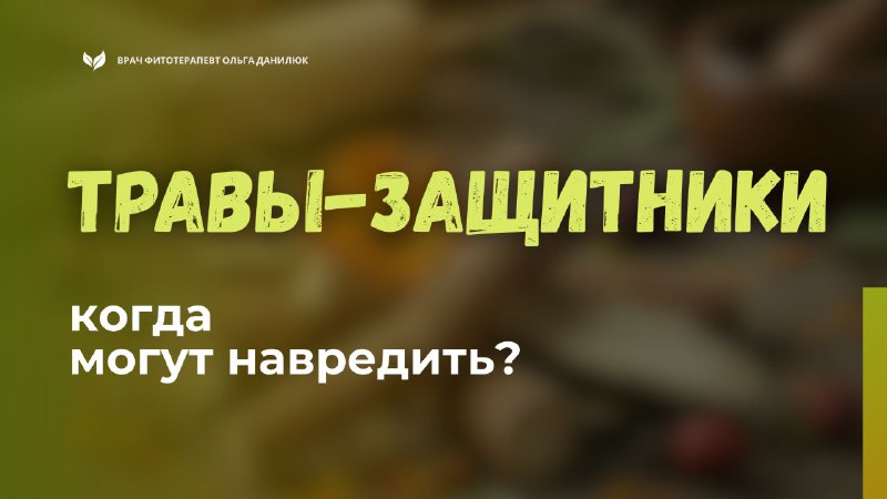 Когда использование лечебных трав может нанести вред