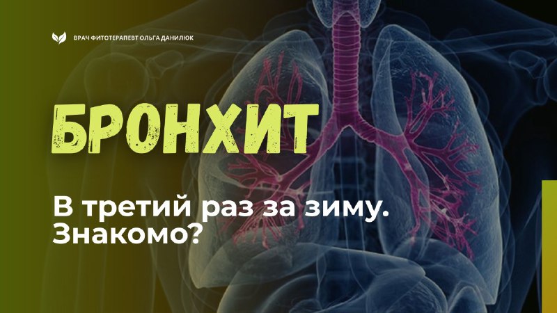 Почему бронхит возвращается и как его лечить системно