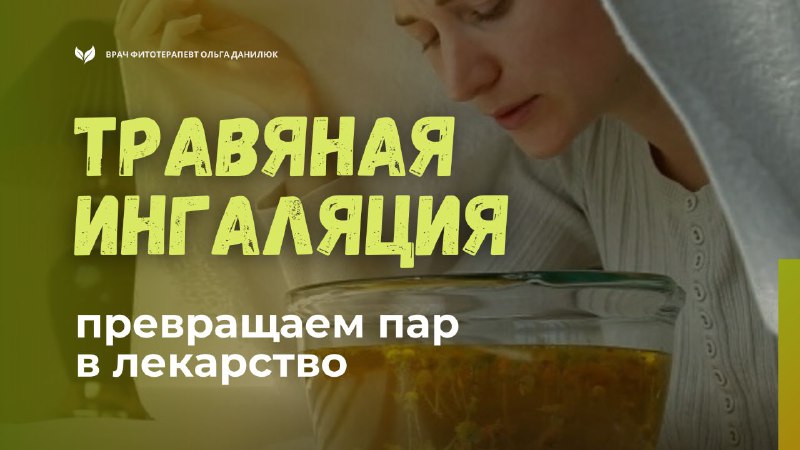 Эффективные травяные ингаляции для дыхательной системы