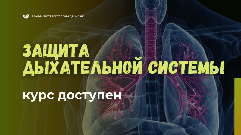 Новый курс по защите дыхательной системы: полное руководство