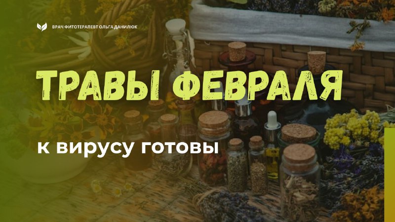 Что должно быть в домашней аптечке к февралю для защиты от вирусов