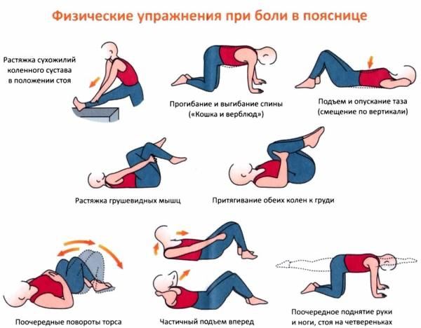 Как избавиться от боли в пояснице с помощью растяжки седалищного нерва