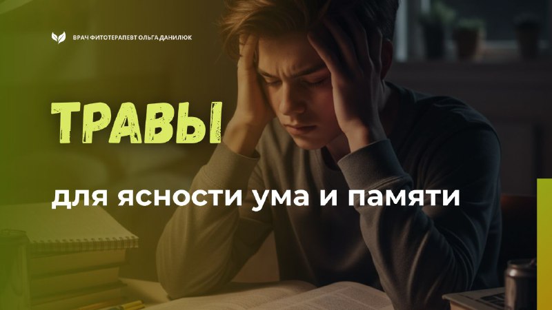 Натуральные средства для улучшения памяти и концентрации у умственно нагруженных людей