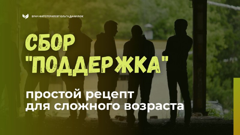 Простой сбор для укрепления организма подростка