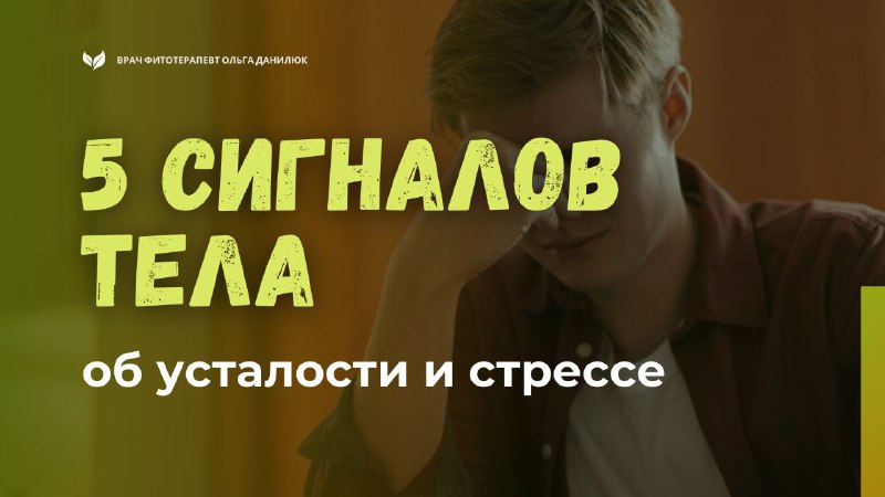 Пять признаков того, что организм на пределе и нуждается в помощи